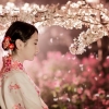 9 Hal di Jepang yang Dapat Kalian Lakukan di Bulan Maret (1) 9 Hal di Jepang yang Dapat Kalian Lakukan di Bulan Maret (1)