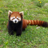 zoo2 zoo2