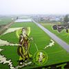 Seni ladang padi di Inakadate seni ladang padi japanesestation.com