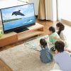 Menonton TV Acara TV di Jepang