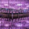 Ashikaga Flower Park Ashikaga Flower Park