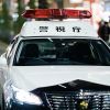 Mobil polisi mobil polisi jepang penyamaran japanesestation.com
