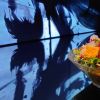 teamLab teamLab