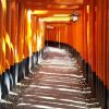 Fushimi Inari di Kyoto, Jepang (foto:snowmonkeyresorts.com)