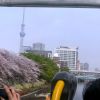 Skyduck Tokyo Tokyo Skytree Course Sakura Week, Soranews24 Skyduck Tokyo Tokyo Skytree Course Sakura Week, Soranews24