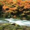 Kaga Onsen, Pemandian Air Panas di Kaki Gunung Haku Kaga Onsen, Pemandian Air Panas di Kaki Gunung Haku