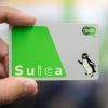 Suica Card yang bisa dipakai ketika liburan di Jepang(Nattaphat Saysuwan / 123RF) Suica Card yang bisa dipakai ketika liburan di Jepang(Nattaphat Saysuwan / 123RF)