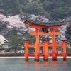 Kuil Itsukushima: Warisan Budaya Dunia di Pulau MIyajima Kuil Itsukushima: Warisan Budaya Dunia di Pulau MIyajima