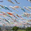 Koinobori Festa 1000 (GoodLuck Trip). Koinobori Festa 1000 (GoodLuck Trip).