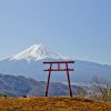 Tenku no Tori, Gerbang tori yang ikonik di Kawaguchi Asama Shrine ( Kawaguchiko.net) Tenku no Tori, Gerbang tori yang ikonik di Kawaguchi Asama Shrine ( Kawaguchiko.net)
