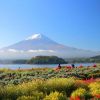 Pemandangan Gunung Fuji dari Oishi Park (ZEKKEI Japan). Pemandangan Gunung Fuji dari Oishi Park (ZEKKEI Japan).