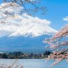 Pemandangan Gunung Fuji dan Danau Kawaguchiko di musim semi (The Gate). Pemandangan Gunung Fuji dan Danau Kawaguchiko di musim semi (The Gate).