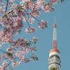 Menara komunikasi Tokyo (Tokyo Tower) saat musim semi (Pexels/Wencheng Jiang) Menara komunikasi Tokyo (Tokyo Tower) saat musim semi (Pexels/Wencheng Jiang)