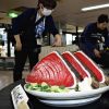 Katsuo no Tataki raksasa yang menyambut wisatawan d Bandara Kochi (Yomiuri Shimbun). Katsuo no Tataki raksasa yang menyambut wisatawan d Bandara Kochi (Yomiuri Shimbun).