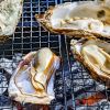 Kuliner laut jadi salah satu unggulan Prefektur Tokushima (GaijinPot Travel). Kuliner laut jadi salah satu unggulan Prefektur Tokushima (GaijinPot Travel).