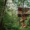 Suasana asri di Treeful Treehouse Okinawa (Treeful via CNN). Suasana asri di Treeful Treehouse Okinawa (Treeful via CNN).