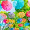 Umbrella sky project (matcha-jp) Umbrella sky project (matcha-jp)