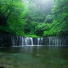 Air Terjun Shiraito yang menakjubkan di Karuizawa (go-nagano.net). Air Terjun Shiraito yang menakjubkan di Karuizawa (go-nagano.net).