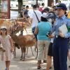 Petugas kepolisian Nara menghimbau para wisatawan untuk tidak menyakiti rusa. Petugas kepolisian Nara menghimbau para wisatawan untuk tidak menyakiti rusa.