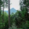 Pemandangan dari Gunung Mitake yang terletak tak jauh dari Tokyo (JR Pass) Pemandangan dari Gunung Mitake yang terletak tak jauh dari Tokyo (JR Pass)