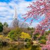 Taman Shinjuku Gyoen Taman Shinjuku Gyoen