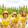 Gadis-gadis Jepang berfoto sambil memegang bunga Matahari Festival Bunga Matahari bulan Agustus 2024 di jepang