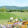 5 Aktivitas Seru yang Bisa Kamu Lakukan di Sanuki Manou Park 5 Aktivitas Seru yang Bisa Kamu Lakukan di Sanuki Manou Park