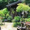 Area pembibitan yang ada di Desa Bonsai Omiya (Japan Guide). Area pembibitan yang ada di Desa Bonsai Omiya (Japan Guide).