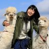 Di Nasu Animal Kingdom kamu bisa mengelus hewan-hewan imut seperti Alpaka (Visit Tochigi) Di Nasu Animal Kingdom kamu bisa mengelus hewan-hewan imut seperti Alpaka (Visit Tochigi)