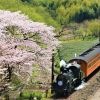 Kereta wisata Kawaneji-go yang melaju saat musim semi (JR Times). Kereta wisata Kawaneji-go yang melaju saat musim semi (JR Times).