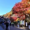 Warna-warni musim gugur di Gunung Takao (Japan Travel). Warna-warni musim gugur di Gunung Takao (Japan Travel).