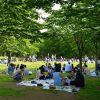 Aktivitas seru Yoyogi Park. Aktivitas seru Yoyogi Park.