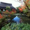 Isuien Garden. Isuien Garden.