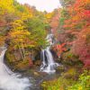 Air Terjun Ryuzu di Nikko menawarkan pemandangan musim gugur yang sempurna Air Terjun Ryuzu di Nikko menawarkan pemandangan musim gugur yang sempurna