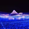Nabana no Sato 2024 Nabana no Sato 2024