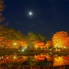 Shuzenji Niji no Sato Autumn Light Up (Hyakkei) Shuzenji Niji no Sato Autumn Light Up