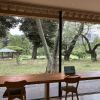 Coworking Space di Taman Shinjuku Gyoen (Nikkei Asia)
