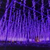 Ashikaga Flower Park Illumination (Visit Tochigi)