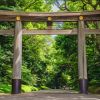 Gerbang torii yang menjulang tinggi di Meiji Jingu Gerbang torii yang menjulang tinggi di Meiji Jingu