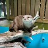 Takeshima Aquarium Takeshima Aquarium