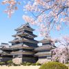 Pemandangan Kastil Matsumoto di musim semi Pemandangan Kastil Matsumoto di musim semi