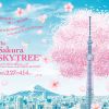 Sakura Skytree 2025 Sakura Skytree 2025