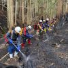 Kebakaran Hutan di Ofunato Berhasil Dipadamkan Setelah 12 Hari Kebakaran Hutan di Ofunato Berhasil Dipadamkan Setelah 12 Hari