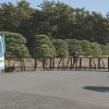 Area Istana Kekaisaran Tokyo dengan pagar pembatas yang dilarang untuk dilewati WNA masuk halaman istana kekaisaran tokyo