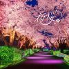 Night Cherry Blossom Jewel Illumination 2025 (PR Times) Night Cherry Blossom Jewel Illumination 2025 (PR Times)