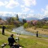 Musim semi di Hakuba Musim semi di Hakuba