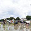 Masyarakat di Kota Gyoda menanam padi (mag.japaaan.com) Masyarakat di Kota Gyoda menanam padi (mag.japaaan.com)