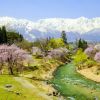 Desa Hakuba Hakuba Golden Week