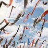 Koinobori Festa 1000 di Akutagawa Sakurazutsumi Park (Zekkei Japan) Event di Jepang minggu ini