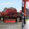Kuil di Kyoto gunakan gambar AI sebagai foto profil mereka Kuil di Kyoto gunakan gambar AI sebagai foto profil mereka